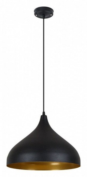 Подвесной светильник Arte Lamp Carmel A7076SP-1BK в Набережных Челнах - naberezhnye-chelny.ok-mebel.com | фото 2