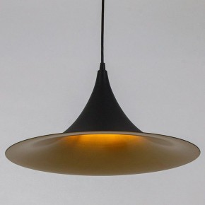 Подвесной светильник Arte Lamp Carmel A7080SP-1BK в Набережных Челнах - naberezhnye-chelny.ok-mebel.com | фото