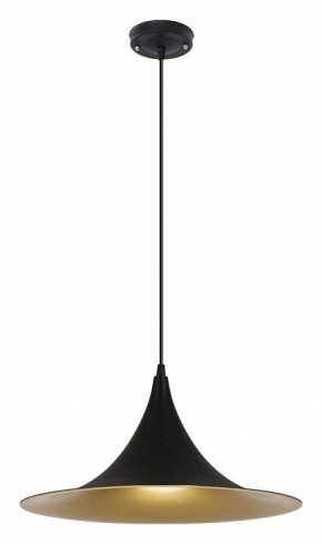 Подвесной светильник Arte Lamp Carmel A7080SP-1BK в Набережных Челнах - naberezhnye-chelny.ok-mebel.com | фото 2