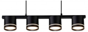 Подвесной светильник Arte Lamp Legacy A8024SP-4BK в Набережных Челнах - naberezhnye-chelny.ok-mebel.com | фото