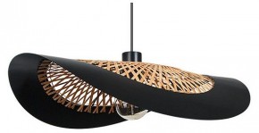 Подвесной светильник Arte Lamp Woodstock A7059SP-1BK в Набережных Челнах - naberezhnye-chelny.ok-mebel.com | фото