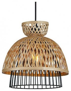 Подвесной светильник Arte Lamp Woodstock A7070SP-1BK в Набережных Челнах - naberezhnye-chelny.ok-mebel.com | фото 2