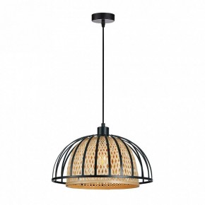 Подвесной светильник Arte Lamp Woodstock A7071SP-1BK в Набережных Челнах - naberezhnye-chelny.ok-mebel.com | фото