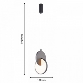 Подвесной светильник F-promo Grahan 4609-1P в Набережных Челнах - naberezhnye-chelny.ok-mebel.com | фото 4