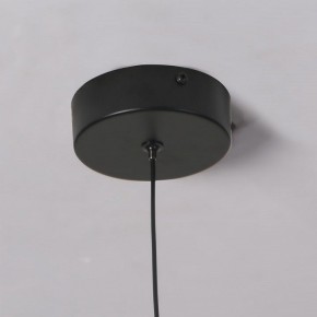 Подвесной светильник Favourite Wilet 4656-1P в Набережных Челнах - naberezhnye-chelny.ok-mebel.com | фото 10