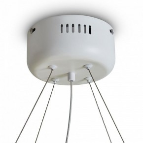 Подвесной светильник Freya Rain FR5546PL-L60W в Набережных Челнах - naberezhnye-chelny.ok-mebel.com | фото 9