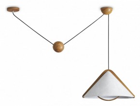 Подвесной светильник Freya Umbra FR5554CL-01T в Набережных Челнах - naberezhnye-chelny.ok-mebel.com | фото