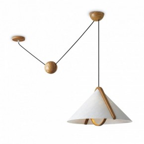 Подвесной светильник Freya Umbra FR5554CL-01T в Набережных Челнах - naberezhnye-chelny.ok-mebel.com | фото 2