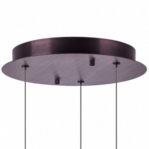 Подвесной светильник Lightstar Caramello 796139 в Набережных Челнах - naberezhnye-chelny.ok-mebel.com | фото 13