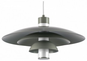 Подвесной светильник Lightstar Erbareo 799019 в Набережных Челнах - naberezhnye-chelny.ok-mebel.com | фото