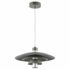 Подвесной светильник Lightstar Erbareo 799019 в Набережных Челнах - naberezhnye-chelny.ok-mebel.com | фото 2