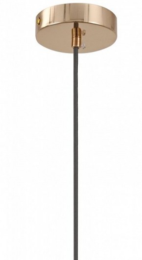 Подвесной светильник Moderli Charm V11176-1P в Набережных Челнах - naberezhnye-chelny.ok-mebel.com | фото 8