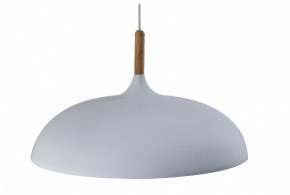 Подвесной светильник Moderli Hygo V11447-1P в Набережных Челнах - naberezhnye-chelny.ok-mebel.com | фото