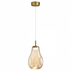 Подвесной светильник Odeon Light Nave 5098/4L в Набережных Челнах - naberezhnye-chelny.ok-mebel.com | фото 2