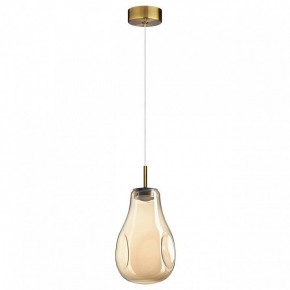 Подвесной светильник Odeon Light Nave 5098/4L в Набережных Челнах - naberezhnye-chelny.ok-mebel.com | фото 4