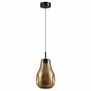 Подвесной светильник Odeon Light Nave 5098/4LA в Набережных Челнах - naberezhnye-chelny.ok-mebel.com | фото 4