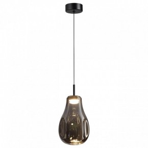 Подвесной светильник Odeon Light Nave 5098/4LC в Набережных Челнах - naberezhnye-chelny.ok-mebel.com | фото 2