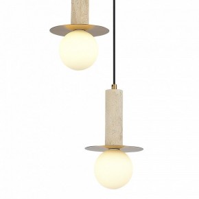 Подвесной светильник ST-Luce Earthy SL1194.303.03 в Набережных Челнах - naberezhnye-chelny.ok-mebel.com | фото 4