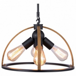 Подвесной светильник TopLight Jasmin TL1179H-04BK в Набережных Челнах - naberezhnye-chelny.ok-mebel.com | фото