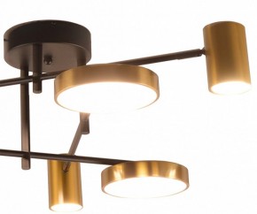 Потолочная люстра Kink Light Рапис 07645-6D,19(20) в Набережных Челнах - naberezhnye-chelny.ok-mebel.com | фото 2