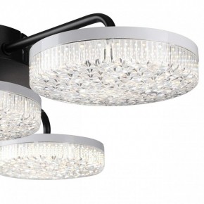 Потолочная люстра Lumion Didana 8236/4CL в Набережных Челнах - naberezhnye-chelny.ok-mebel.com | фото 7