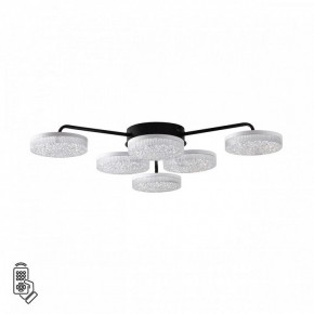 Потолочная люстра Lumion Didana 8236/6CL в Набережных Челнах - naberezhnye-chelny.ok-mebel.com | фото 5