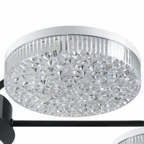 Потолочная люстра Lumion Didana 8236/7CL в Набережных Челнах - naberezhnye-chelny.ok-mebel.com | фото 9