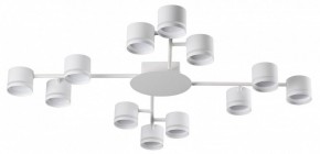 Потолочная люстра Lumion Gareta 8235/12C в Набережных Челнах - naberezhnye-chelny.ok-mebel.com | фото