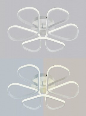 Потолочная люстра Natali Kovaltseva COBRA LED LAMPS 81121/7C в Набережных Челнах - naberezhnye-chelny.ok-mebel.com | фото 6