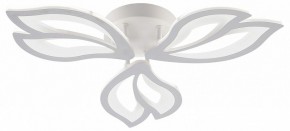 Потолочная люстра Natali Kovaltseva FORTUNA LED LAMPS 81107/2C в Набережных Челнах - naberezhnye-chelny.ok-mebel.com | фото