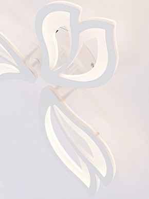 Потолочная люстра Natali Kovaltseva FORTUNA LED LAMPS 81107/2C в Набережных Челнах - naberezhnye-chelny.ok-mebel.com | фото 11