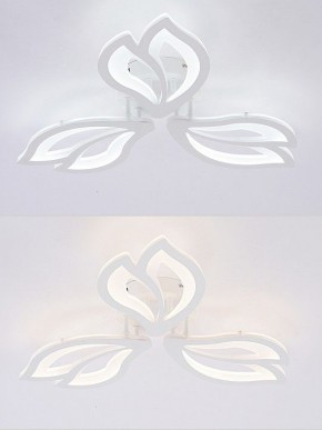 Потолочная люстра Natali Kovaltseva FORTUNA LED LAMPS 81107/2C в Набережных Челнах - naberezhnye-chelny.ok-mebel.com | фото 4