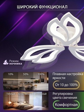 Потолочная люстра Natali Kovaltseva FORTUNA LED LAMPS 81107/2C в Набережных Челнах - naberezhnye-chelny.ok-mebel.com | фото 5