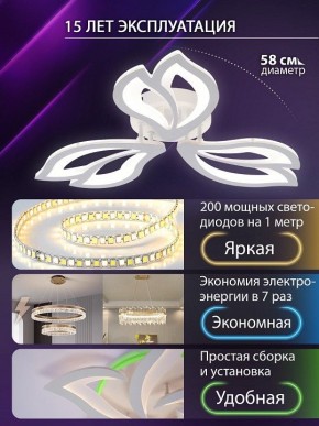 Потолочная люстра Natali Kovaltseva FORTUNA LED LAMPS 81107/2C в Набережных Челнах - naberezhnye-chelny.ok-mebel.com | фото 6