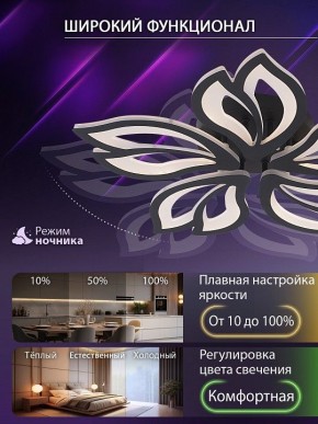 Потолочная люстра Natali Kovaltseva FORTUNA LED LAMPS 81107/5C в Набережных Челнах - naberezhnye-chelny.ok-mebel.com | фото 6