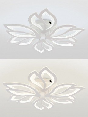 Потолочная люстра Natali Kovaltseva FORTUNA LED LAMPS 81107/6C в Набережных Челнах - naberezhnye-chelny.ok-mebel.com | фото 4