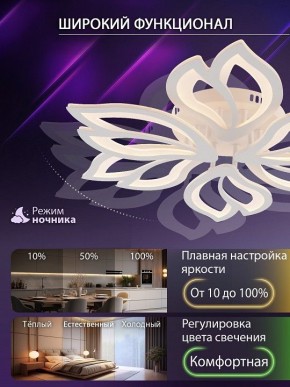 Потолочная люстра Natali Kovaltseva FORTUNA LED LAMPS 81107/6C в Набережных Челнах - naberezhnye-chelny.ok-mebel.com | фото 6