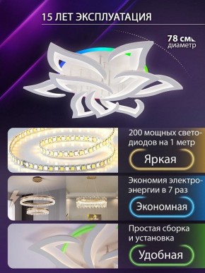 Потолочная люстра Natali Kovaltseva OLIMP LED LAMPS 81435 в Набережных Челнах - naberezhnye-chelny.ok-mebel.com | фото 5