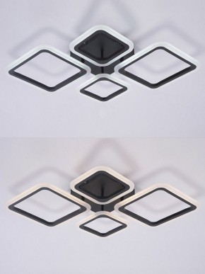 Потолочная люстра Natali Kovaltseva OPTI LED LAMPS 81108/2C в Набережных Челнах - naberezhnye-chelny.ok-mebel.com | фото 4