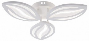 Потолочная люстра Natali Kovaltseva SM LED LAMPS 81456 в Набережных Челнах - naberezhnye-chelny.ok-mebel.com | фото