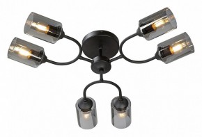 Потолочная люстра Vitaluce V2823 V2823-1/6PL в Набережных Челнах - naberezhnye-chelny.ok-mebel.com | фото 2
