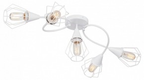 Потолочная люстра Vitaluce V3037 V3037-0/5PL в Набережных Челнах - naberezhnye-chelny.ok-mebel.com | фото