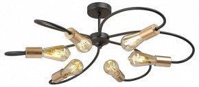 Потолочная люстра Vitaluce V3076 V3076-1/6PL в Набережных Челнах - naberezhnye-chelny.ok-mebel.com | фото 3