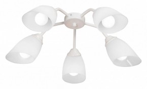Потолочная люстра Vitaluce V31950 V31950/5PL в Набережных Челнах - naberezhnye-chelny.ok-mebel.com | фото