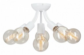 Потолочная люстра Vitaluce V3927 V3927-0/6PL в Набережных Челнах - naberezhnye-chelny.ok-mebel.com | фото