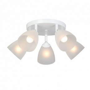 Потолочная люстра Vitaluce V4355 V4355-0/5PL в Набережных Челнах - naberezhnye-chelny.ok-mebel.com | фото 2