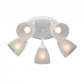 Потолочная люстра Vitaluce V4355 V4355-0/5PL в Набережных Челнах - naberezhnye-chelny.ok-mebel.com | фото 3