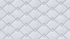 PROxSON Матрас Standart Plus M (Ткань Жаккард) 120x195 в Набережных Челнах - naberezhnye-chelny.ok-mebel.com | фото 9