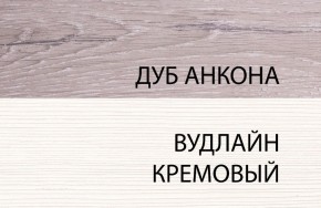 Шкаф 1DZ, OLIVIA, цвет вудлайн крем/дуб анкона в Набережных Челнах - naberezhnye-chelny.ok-mebel.com | фото 3