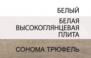 Шкаф 2D/TYP 20A, LINATE ,цвет белый/сонома трюфель в Набережных Челнах - naberezhnye-chelny.ok-mebel.com | фото 4